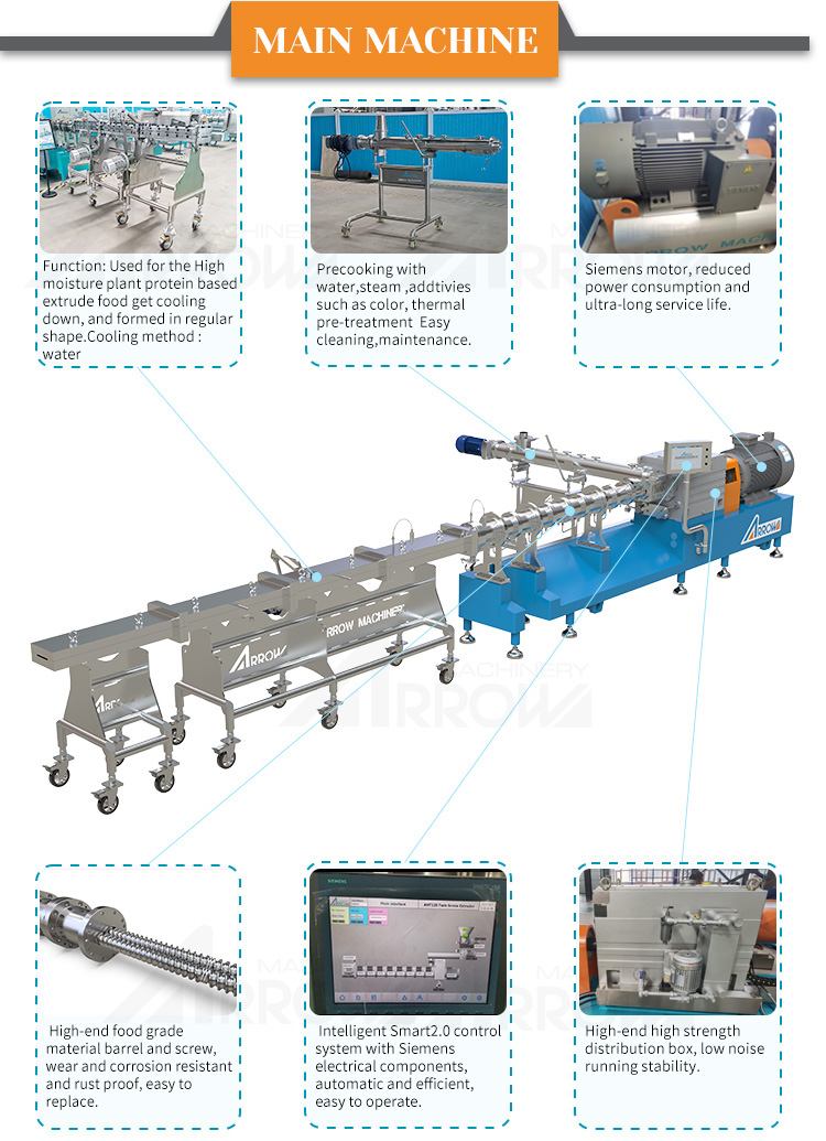 Plant Protein Based Wet (Hmma) Tvp Production System