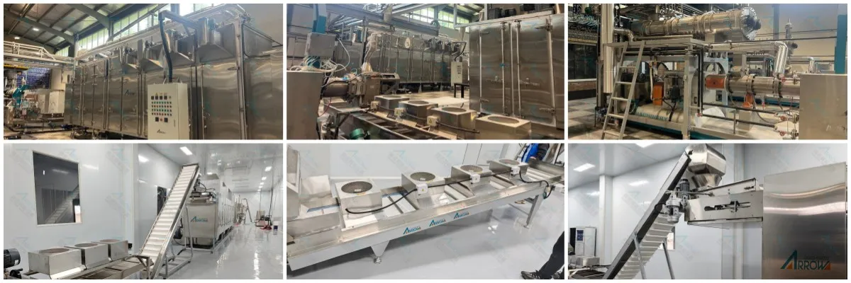 Textured Vegetarian Protein Production