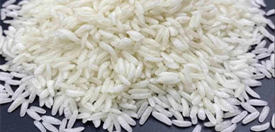 Uncover the mystery of artificial rice and walk into artificial rice food production equipment