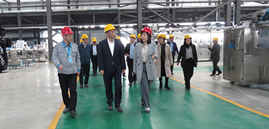 Warmly welcome the city leaders to visit Shandong Arrow Intelligent Equipment for guidance