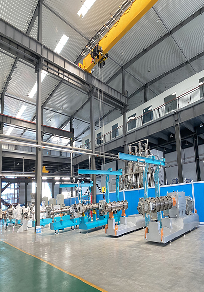 Introduction  for Hot sale Extruder snacks production line