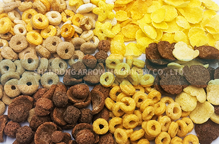 Corn Flakes/Breakfast Cereals Production Line