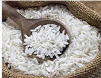 ARTIFICIAL FORTIFIED RICE