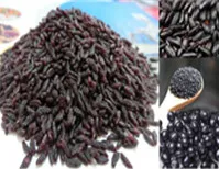ARTIFICIAL FORTIFIED RICE