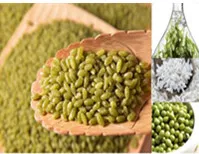 ARTIFICIAL FORTIFIED RICE