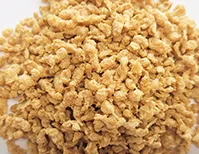 Plant Protein Based Dry Tvp Production System