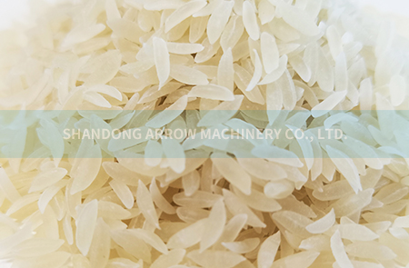Nutrition/Artificial Rice Project