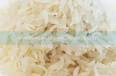 Nutrition/Artificial Fortified Rice Kernel Production Line