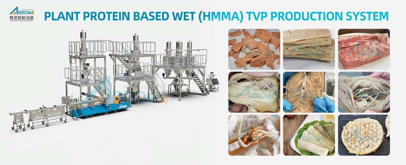 Plant Protein Based Wet (Hmma) Tvp Production System