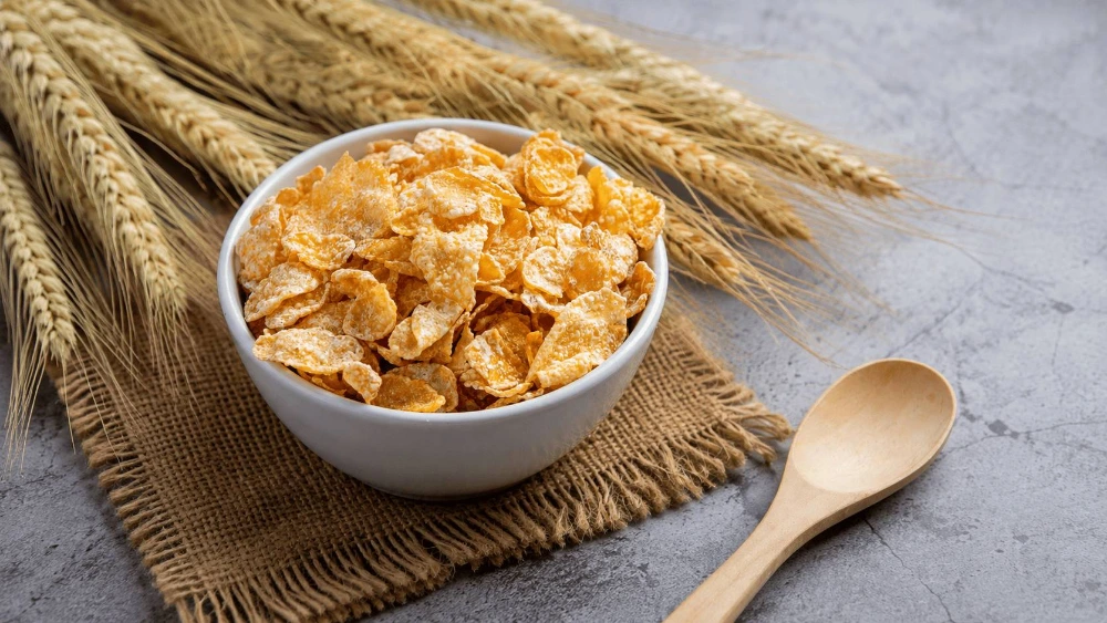 Extruded Flakes vs. Directly Expanded Cereals: How Process and Equipment Choices Differ