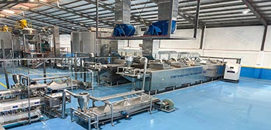 Shandong ARROW Large-Scale Fully Automatic Fortified Rice Production Line Put into Operation in Southeast Asia